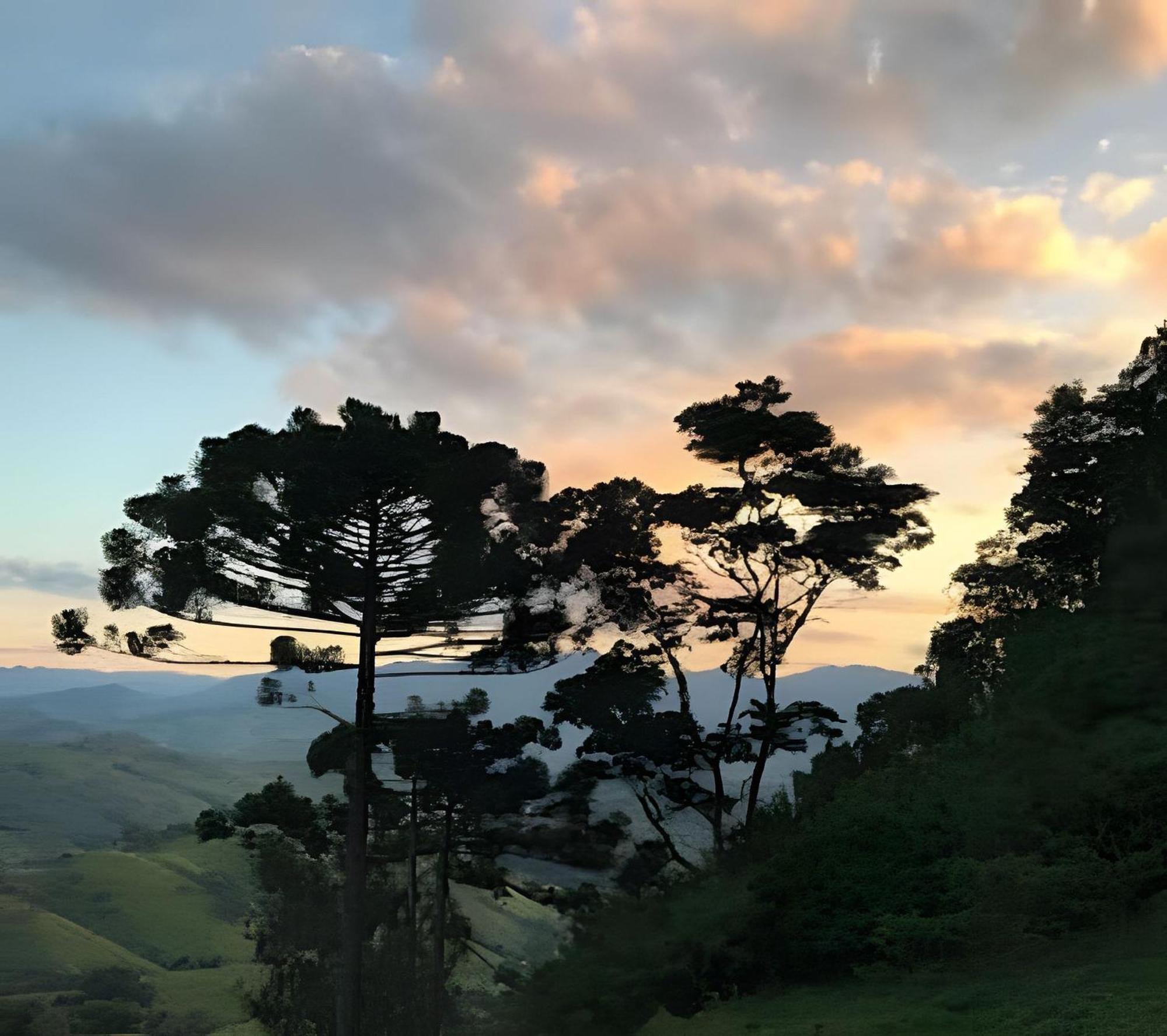 Chales Suites Gorjeios Da Mantiqueira São Bento do Sapucaí Exterior foto